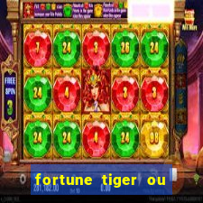 fortune tiger ou fortune ox